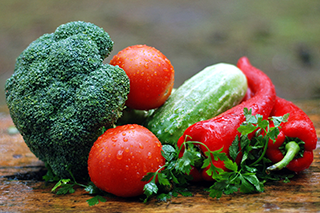 Nutrition Weight Management Chester County